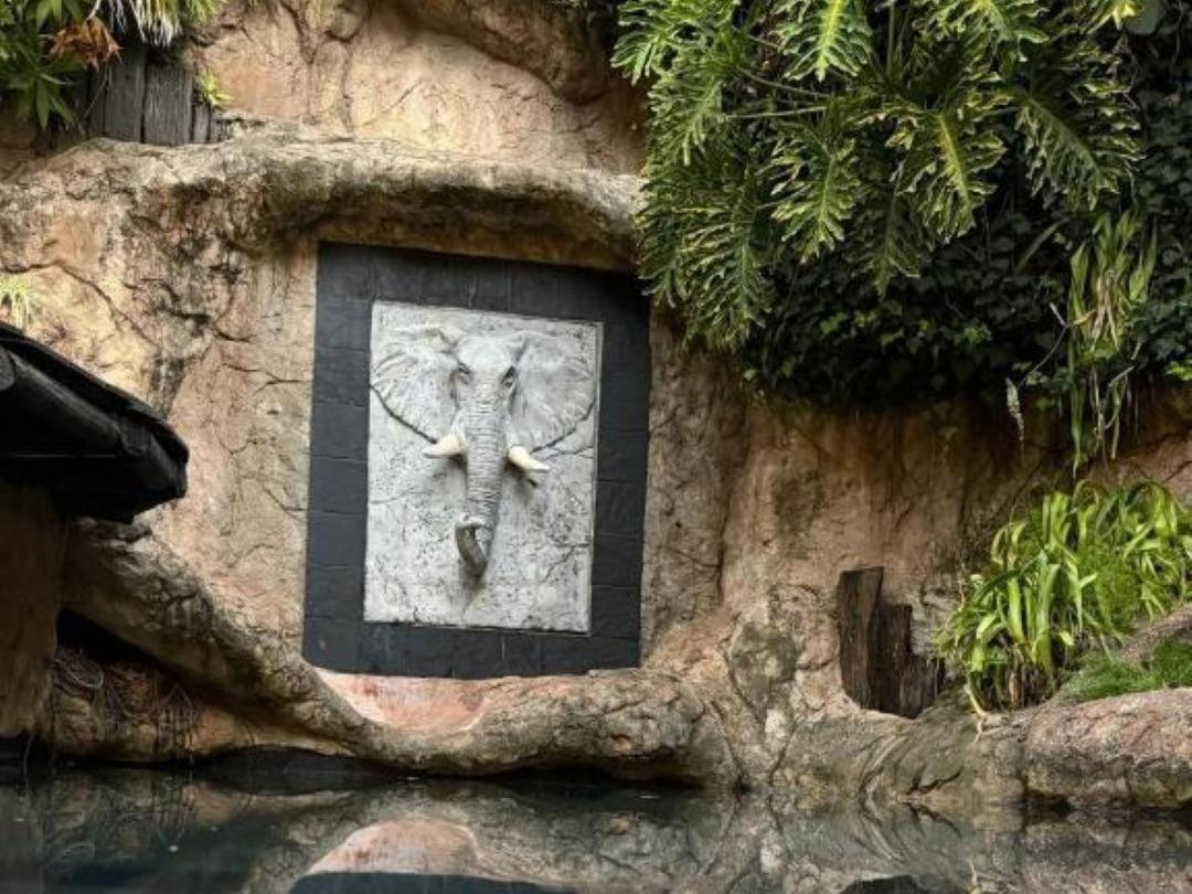 Mood Health Resort جوهانسبورغ المظهر الخارجي الصورة